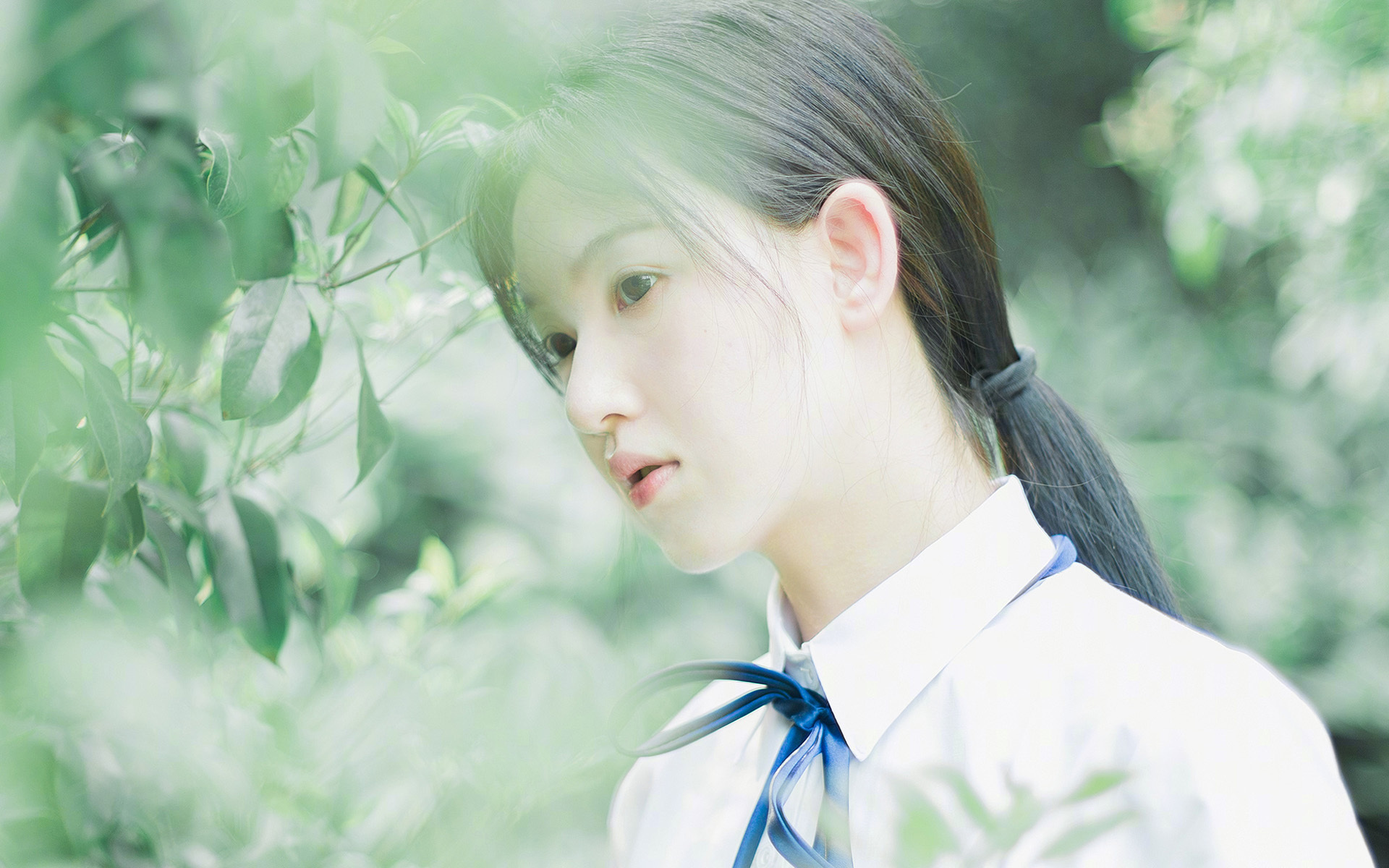 篮网轻取凯尔特人，克莱世界赛接管，篮球之夜的全球辉映