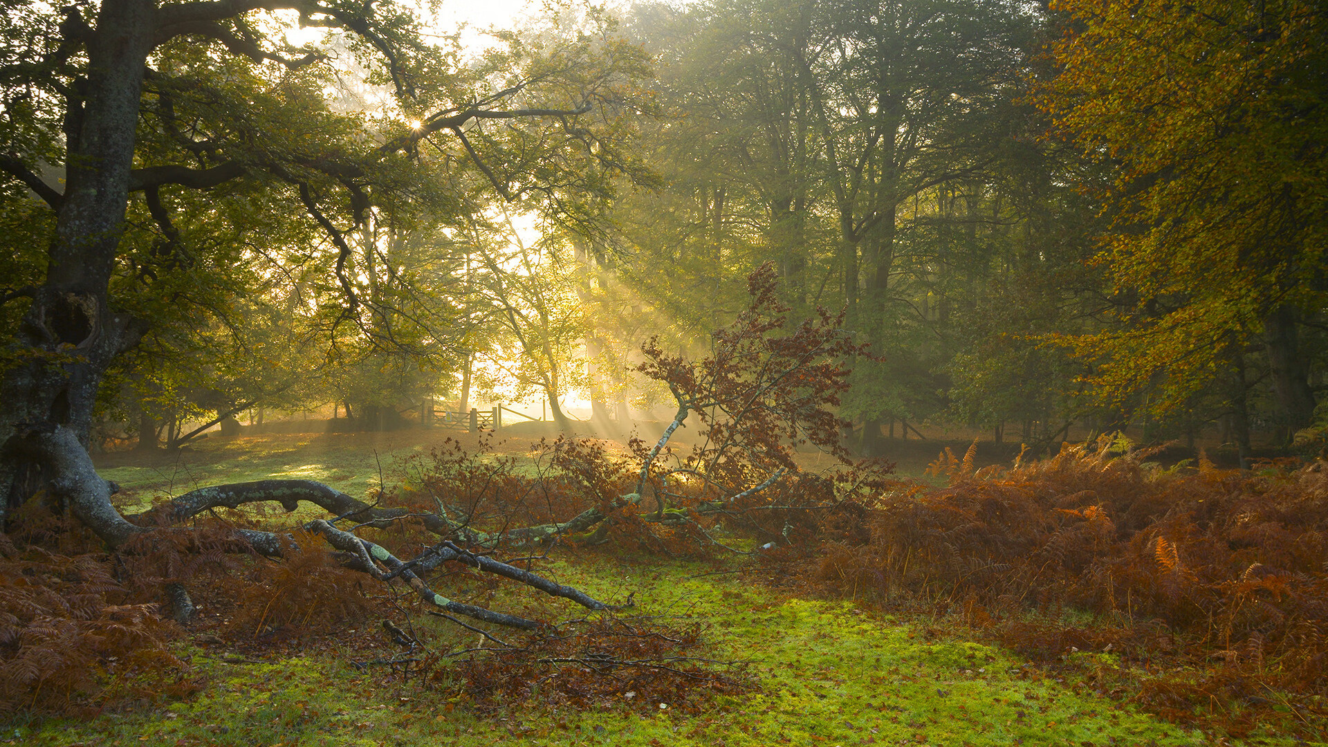 石油、足球与地缘博弈，当伊拉克一波带走委内瑞拉，三笘薰正掌控绿茵走势